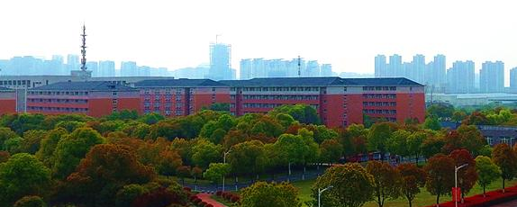 民办合肥滨湖职业技术学院地址在哪里