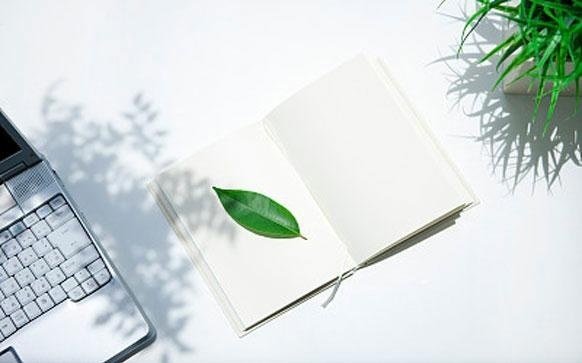 sat2物理考试常识