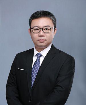 白杨