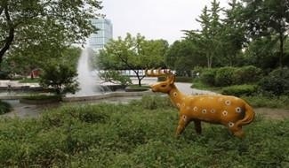 连云港外国语学校