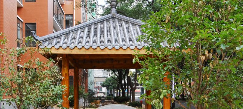 长沙十五中国际部怎么样、好不好