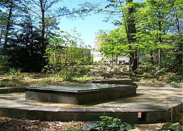 北卡罗莱纳-夏洛特分校