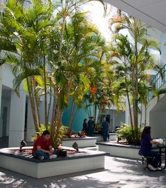 开普科勒尔理工学院