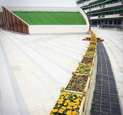 湖州帕丁顿双语学校精心打造校园之肺