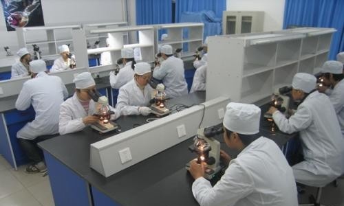 崇州市电子职业技术学校有哪些专业