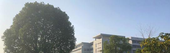 安徽汽车职业技术学院2020年招生代码 