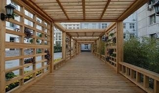 北京市第八中学国际部