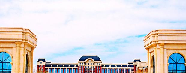 大连工业大学艺术与信息工程学院招生章程2023年