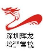 辉龙培训老师