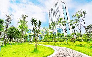 长沙北大青鸟麓谷学校