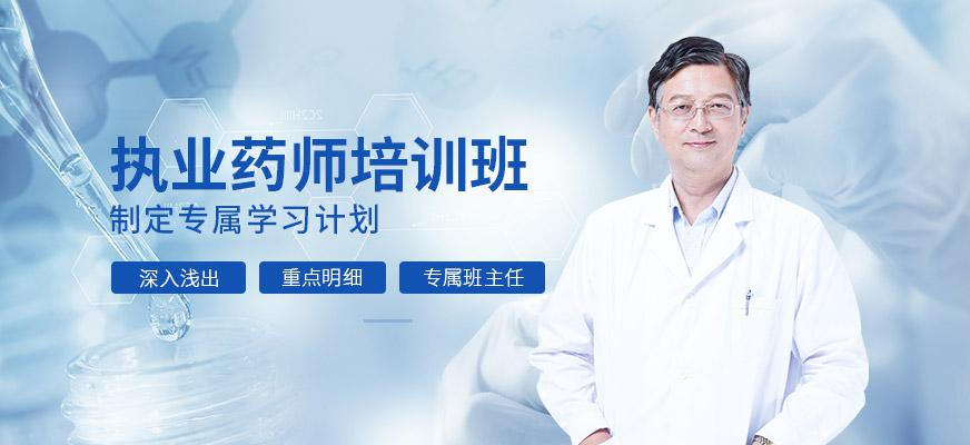 广州环球执业药师双师资课程配图