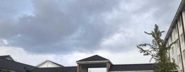 宜宾天立国际学校小学部地址在哪里