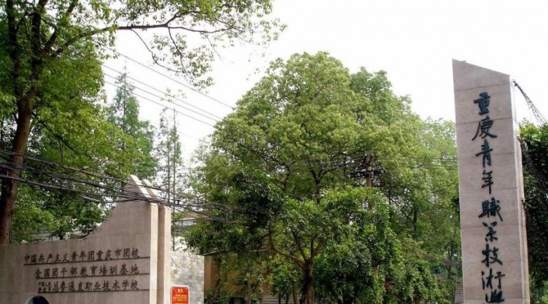 重庆青年职业技术学院2020年招生代码