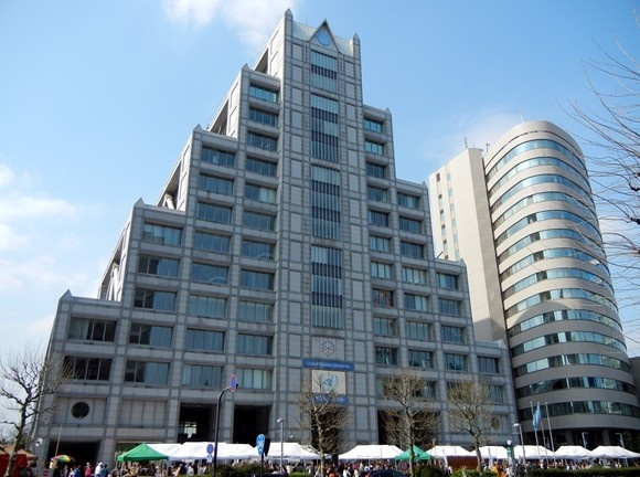 联合国大学