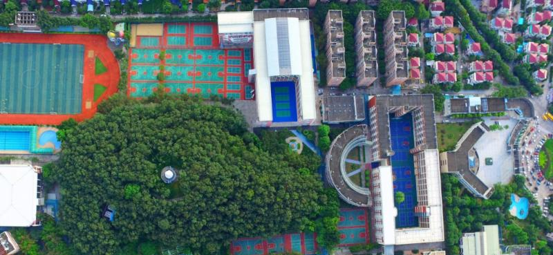 广东碧桂园(IB国际)学校初中部网站