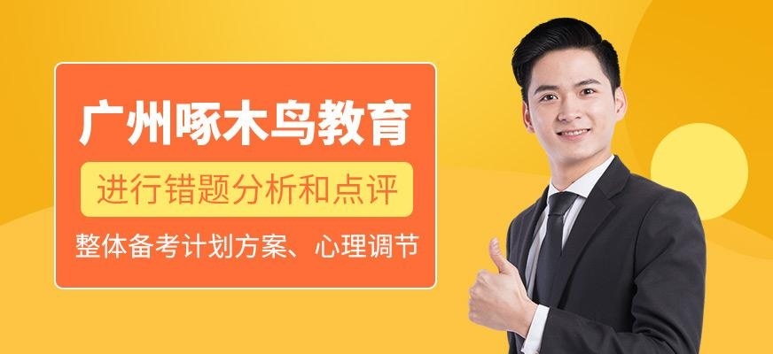 广州啄木鸟教育