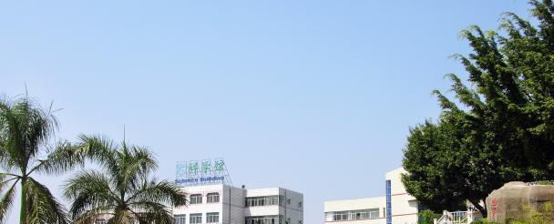 深圳石岩公学国际部高中2023年报名条件、招生要求、招生对象