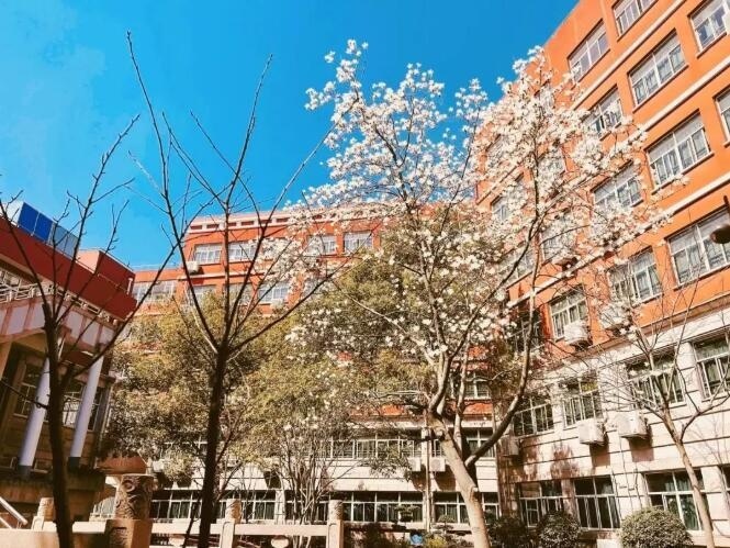 闵行汇点高中.jpg