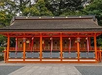模拟演练