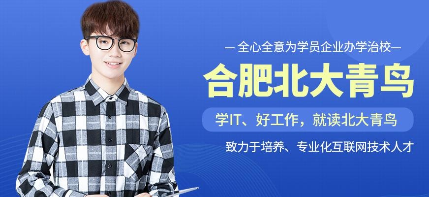 合肥北大青鸟学校