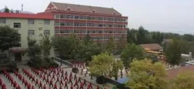 齐鲁武术学校网站主页