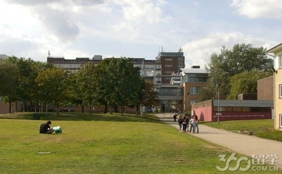 威斯敏斯特大学