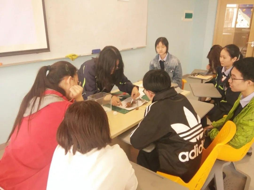 上海常青藤学校俱乐部.jpg