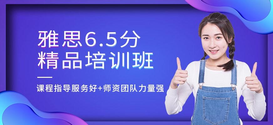 6.5精品培训班