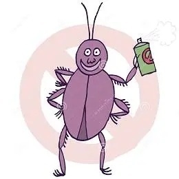 bug的缺陷