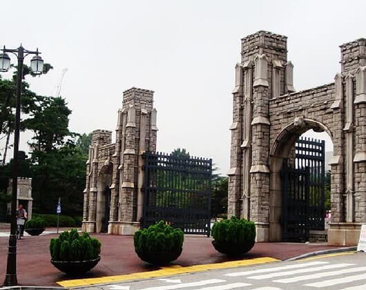 高丽大学