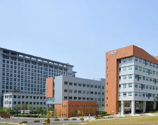 东国大学