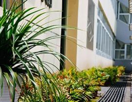 成都学成高考补习学校