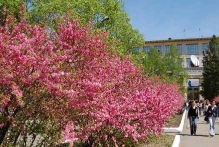 太平洋国立大学