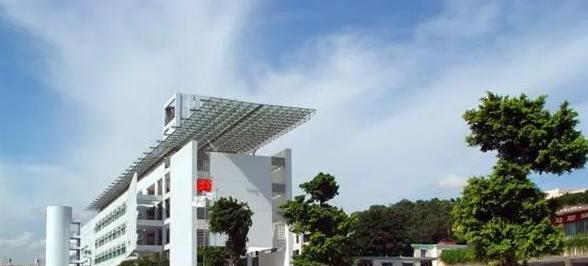 深圳石岩公学学校国际部初中靠谱吗