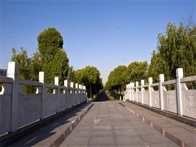 上海立信会计学院国际本科