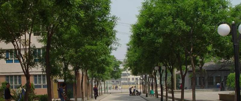 山西大学附属中学2023年怎么样、好不好