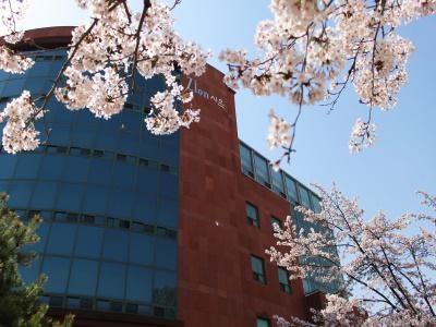 韩国信韩大学国际本科-深圳教学中心
