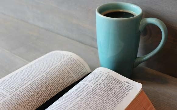 商务英语中用到的句子