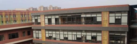 佛山协同国际学校地址在哪里