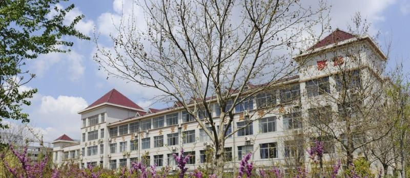 潍坊高新国际学校小学部
