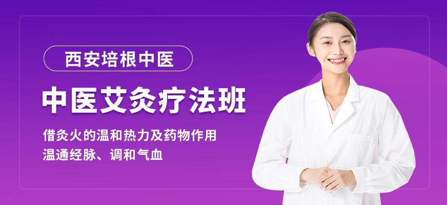 中医特色艾灸疗法