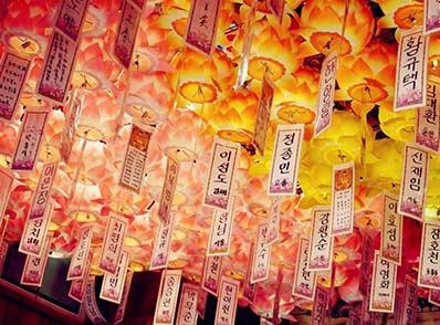 选择我们，理由不止一个