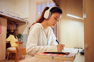 针对学生知识点及考点查漏补缺，辅以错题集、训练手册等。