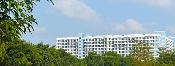 广西演艺职业学院2020年招生代码