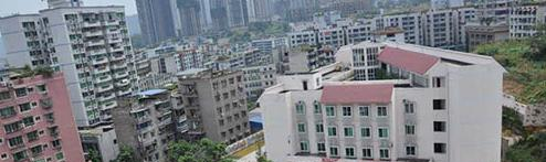 截图_20211105085108