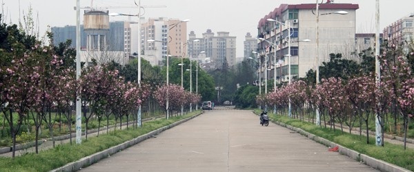 江西农业工程职业学院单招简章
