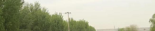 北京中关村外国语学校怎么样