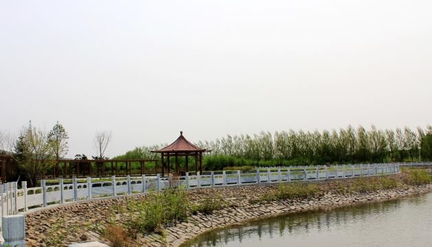 黑龙江农垦科技职业学院单招
