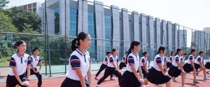 深圳桃源居中澳实验学校网站