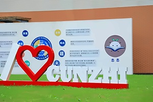 TICC存志学校A Level课程招生简章